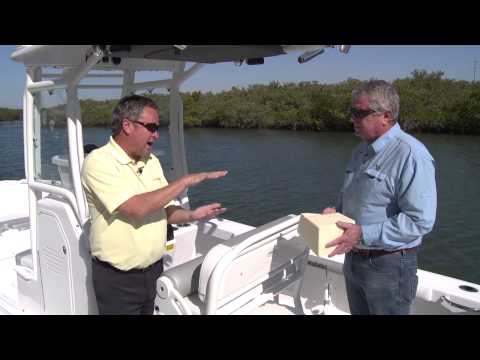 Everglades 243 CC