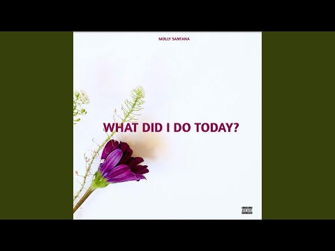 What Did I Do Today?