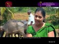 mihikaha-dinuwo-31-05-2019