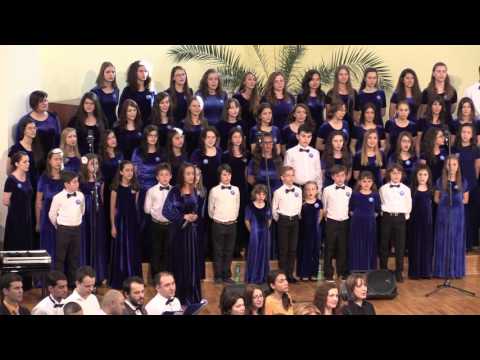 Flori si Stele - You Raise Me Up