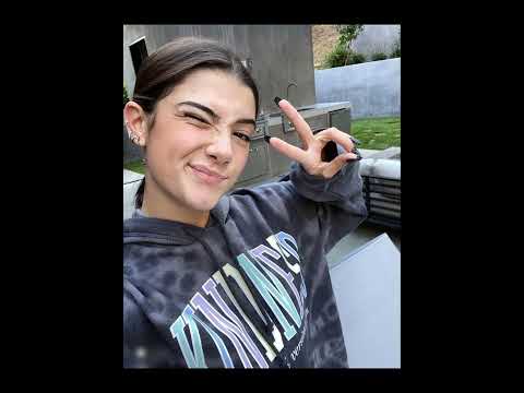 t danny talán (charli)