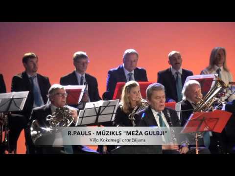 ZELMERI PRO - koncertā "SPĒLĒJAM PAULU" - Mūzikls "MEŽA GULBJI"