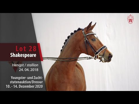 Youngster- und Zuchtstutenauktion/Dressur Lot 28 Shakespeare Hengst v. Sir Heinrich - Lanciano