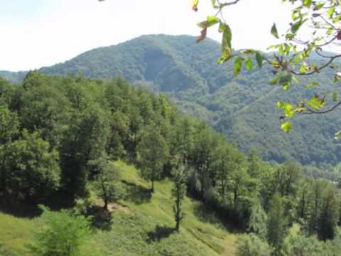 VINETISU NEHOIU  BUZAU