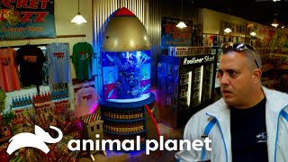 A Rocket Ship Tank Thats Out of This World! | Tanked | Animal Planet