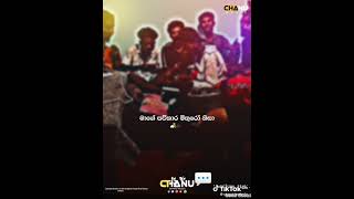 Download lagu මාගේ පව්කාර මිතුරෝ නිසා__mage pawkara mithuro nisa #song mp3