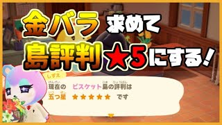 【あつ森】島評判星5にして…金のバラのリースを作りたい！【あつまれどうぶつの森】