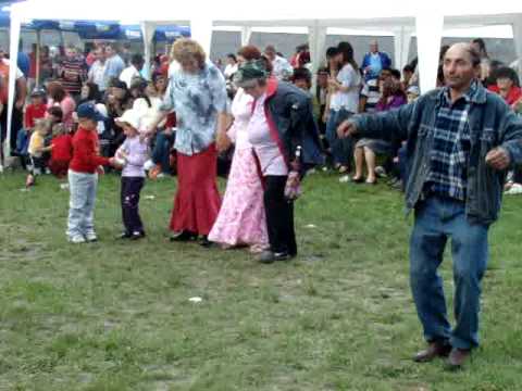 mascota de la sirineasa