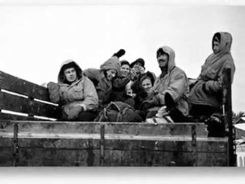 Terror In The Mountains