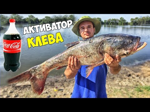РЫБАЛКА на Coca Cola 100% АКТИВАТОР КЛЁВА