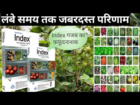 Index Fungicide Nagarjuna, WP