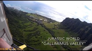 Helicopter Tour Oahu, Hawaii | Paradise Helicopters Valleys & Waterfall Explorer Tour NO DOORS!!