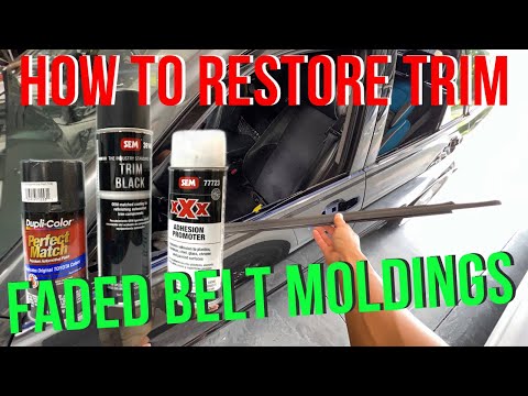 How to Restore Lexus IS300 Door Trim Belt Molding and Mirrors | Door Handle Removal