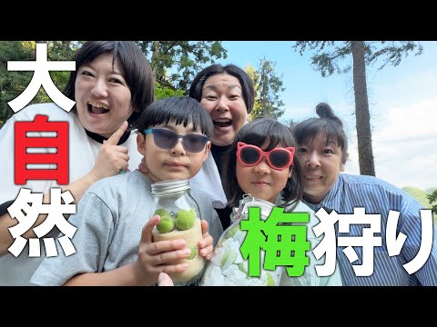 関連動画 | 森三中・村上知子、10歳長女と親子ショット「ママそっくり」「こんなおっきくなったんだ」　所有する山小屋で梅収穫  | オリコンニュース（ORICON NEWS）