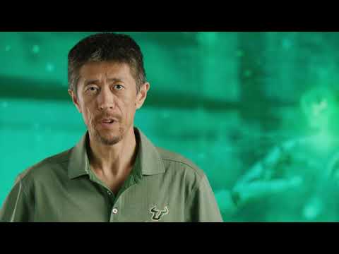 USF AI Graduate Certificate - Yu Sun