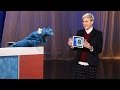 Ellen Plays Heads Up Pictures With Cookie Monster