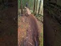 The Biggest Drop I've Ever Hit