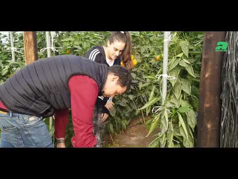 Fotograma del vídeo: Biodiversidad para mantener la fauna autóctona y potenciar el control biológico de plagas
