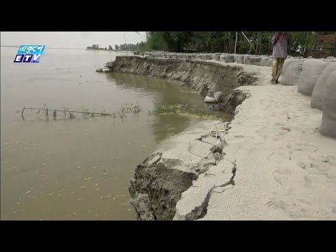 পানি বেড়ে আগ্রাসী ব্রহ্মপুত্র, ভাঙনে দিশেহারা চরাঞ্চলবাসী