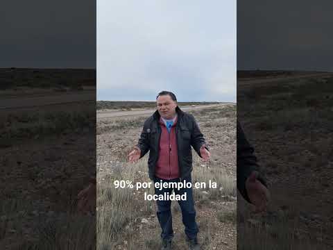 Micro informativo del día 05-08-26,desde el corazón de la Patagonia en Sierra Grande Rio Negro.
