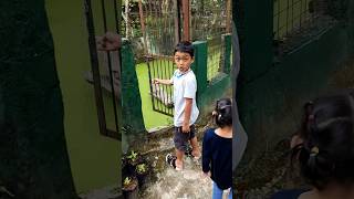 Download lagu Risa lihat buaya mp3