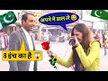 Pakistani Boy Thug Life Pakistani Thug Life Video Pakistan Thug Life Pakistan Public Thug Life