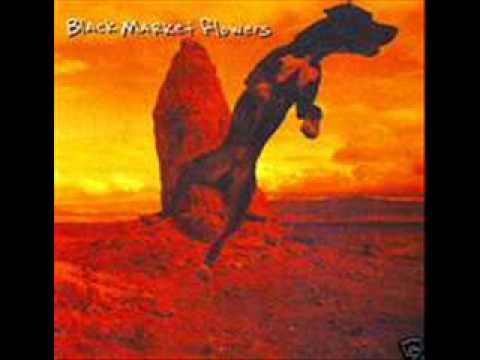 Black Market Flowers-Sick to the Gills