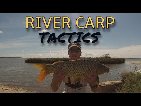 Where to FIND CARP in RIVERS: River Carp Tactics