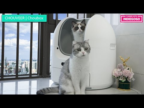 Choubox Automatic Self Clean cat litter after 1 month of use