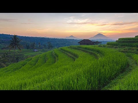 Relaksasi Musik Sunda di Jatiluwih