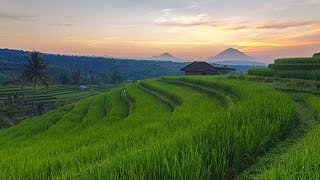 Download lagu Relaksasi Musik Sunda di Jatiluwih mp3 Download lagu Relaksasi Musik Sunda di Jatiluwih mp3