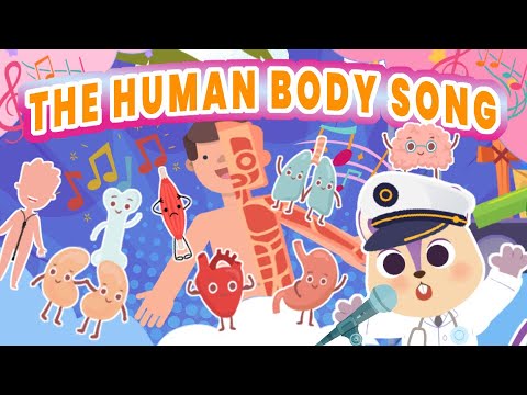 🫀 Human Body Song for kids | Easy way to learn about the Organs | Brain, Heart, Lungs, Kidneys 🧠