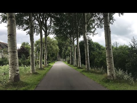 Möge die Straße uns zusammenführen - zum Mitsingen