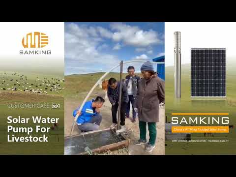Solar power submersible water pumps for livestock/horse/cow drinking water | SAMKING Customer Case