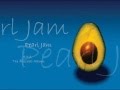 Pearl Jam: Inside Job (With Lyrics) 