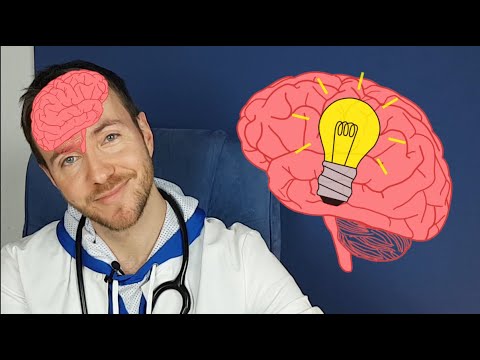 Wie funktioniert das Gehirn? für Kinder erklärt