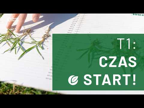 Film na temat: { video.title }}