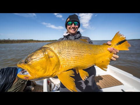 I Fished For Massive Golden Dorado In Argentina!