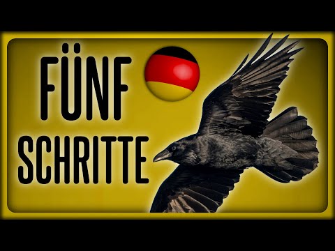 Taming a Crow | How to Befriend Crows in Just 5 Steps | Parody