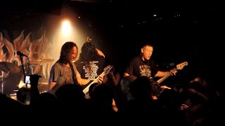 Tankard - Maniac Forces / Die with a Beer in Your Hand / R.I.B. (Rest In Beer) / Metal to Metal