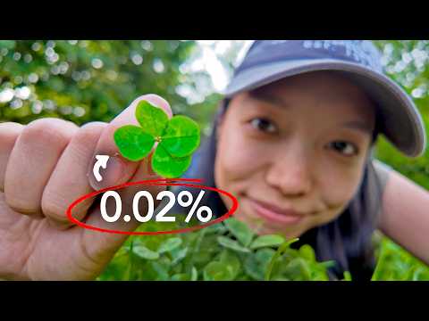 The Best Way to Improve Your Luck and Find a Four-Leaf Clover