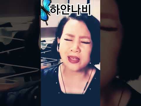 하얀나비/김정호Cover by.금실이(정연실) #미스터트롯 #임영웅 #불타는트롯맨 #황영웅 #미스트롯 #송가인 #정미애 #김태연 #김다현 #홍자 #윤태화