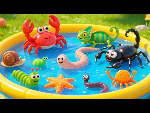 Insects Name | Learn 50 Insects Names for Kids in English | Names of insects  #insects