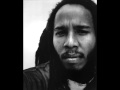 ziggy marley   looking