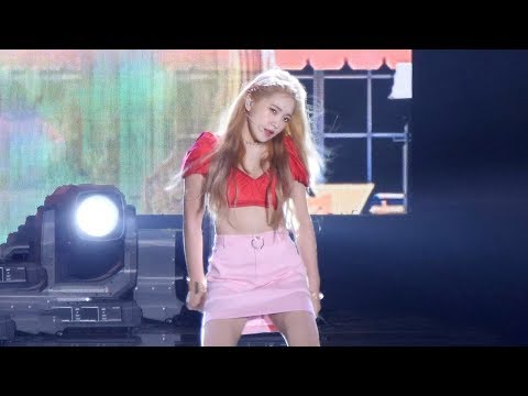 아이콘