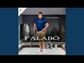 Vele Indoda