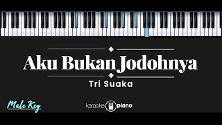 Download lagu Aku Bukan Jodohnya – Tri Suaka (KARAOKE PIANO - MALE KEY) mp3