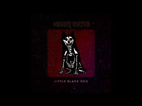 Little Black Dog - || Night Riots ||