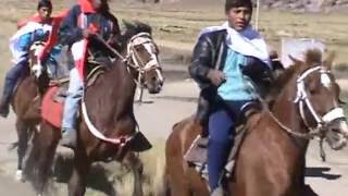 Santísima Cruz de Mayo - Inchupalla - Huancane - PUNO - PERU - 2016