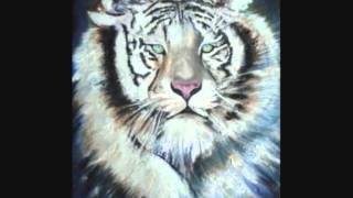 THE MODULATIONS....SHARE WHAT YOU GOT KEEP WHAT YOU NEED ...INSTRU